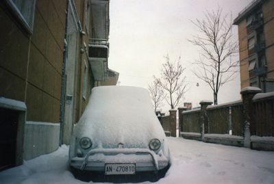 tn_500neve001.jpg