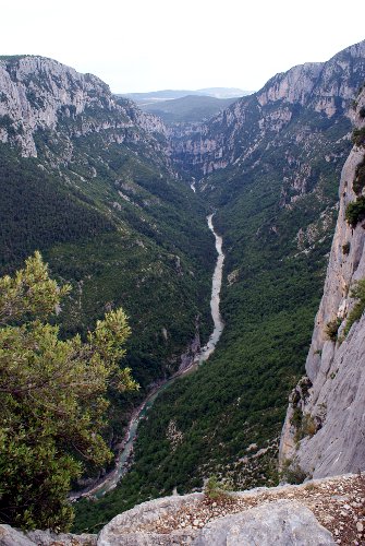 Verdon