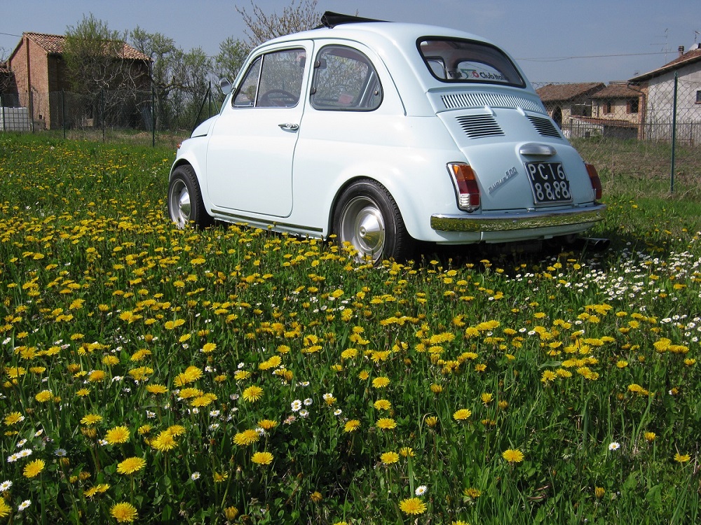 500infiore.jpg