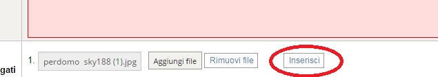 inserisciimmagine-2.jpg