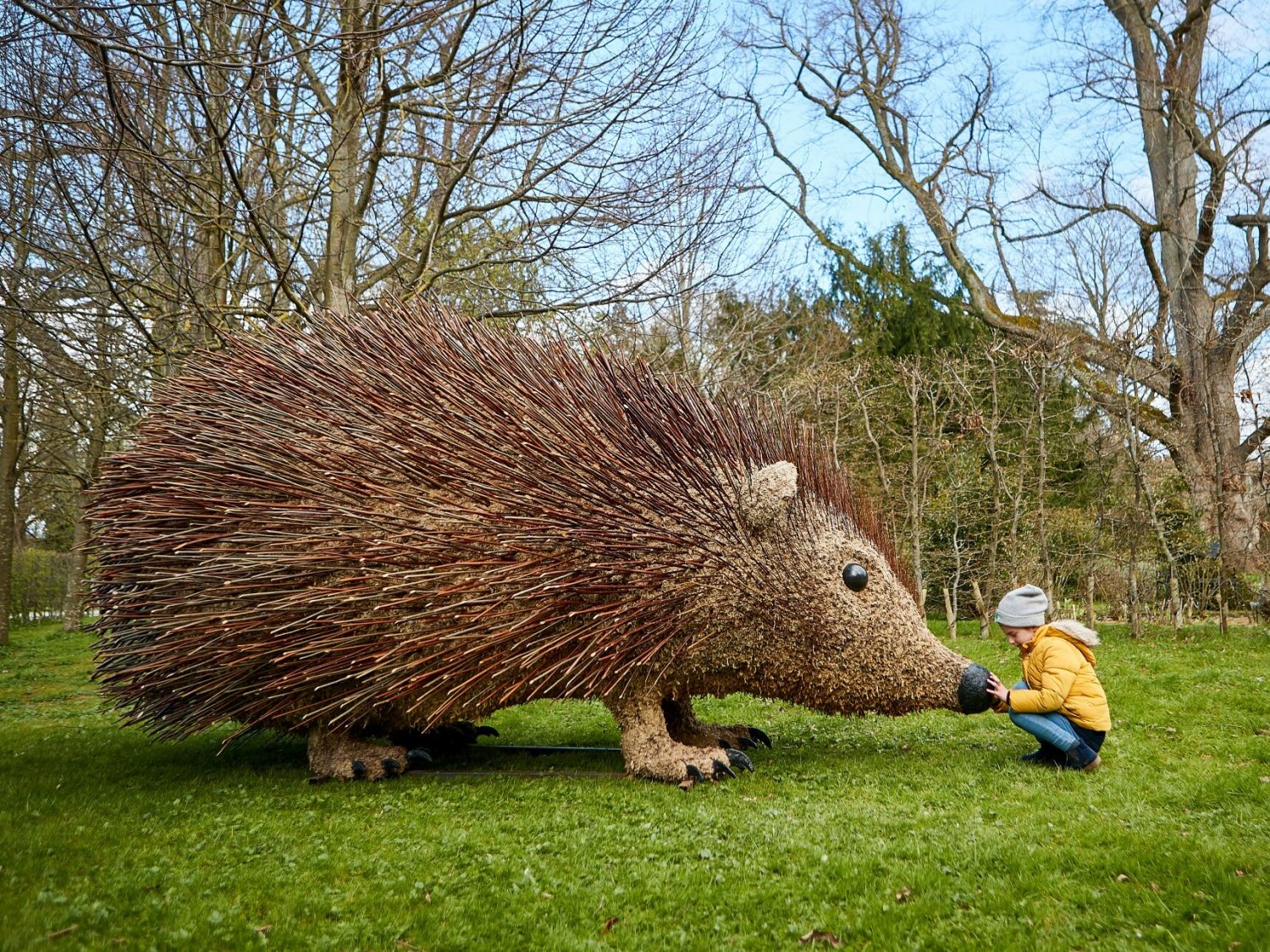 Sudeley-Hedgehog-Champions_web_gallery.jpg